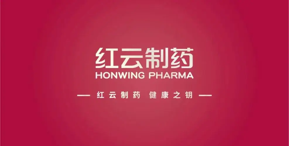紅云制藥4T燃?xì)庹羝仩t