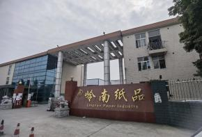 崇州嶺南紙品4噸低氮燃?xì)庹羝仩t